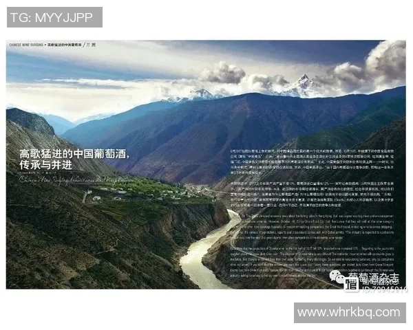 重磅专题：探秘北京篮球队防守反击战术的创新与发展