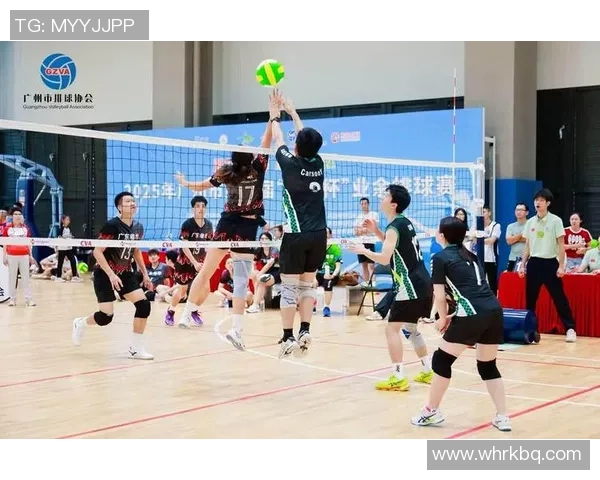 广州排球队个人能力排名创新高展现排球新风采与实力提升