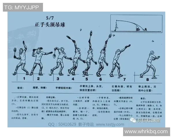 南京羽毛球队整体压制战术解析与实战应用探索