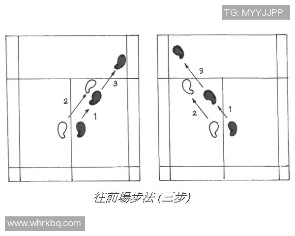 王娜独家揭秘羽毛球技巧与训练心得助你提升球技的秘诀