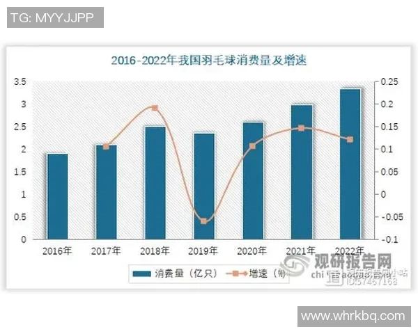 武汉羽毛球队近期状态深度对比及未来发展趋势分析